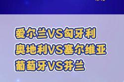 开云体育入口-爱尔兰客场挑战匈牙利，追求客场取胜
