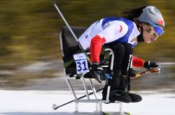 开云体育下载-阿尔巴尼亚选手勇夺金牌，喜迎胜利