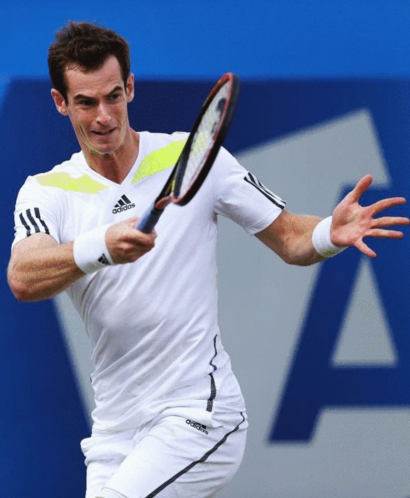 法国网球队逆转美国网球队，穆雷送出助攻